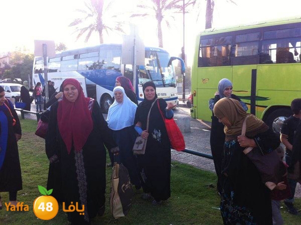 byareq 2 busses (16).jpg